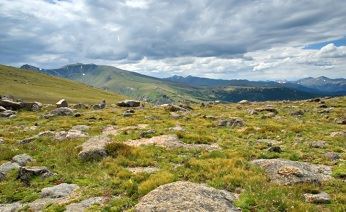 Полицейские защищают жителей Чукотки от медведей