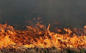 Лесной пожар на Чукотке помогут тушить вертолеты и минивездеход