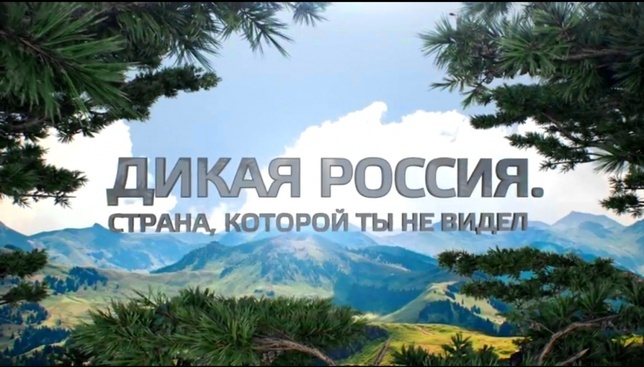 Дикая Россия
