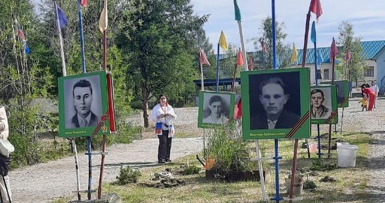 Саженцы кедрового стланика высадили в память о погибших бойцах СВО в Билибинском районе