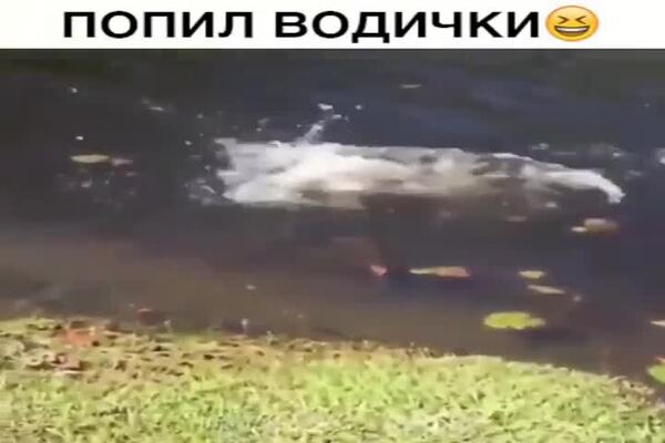 Попил водички