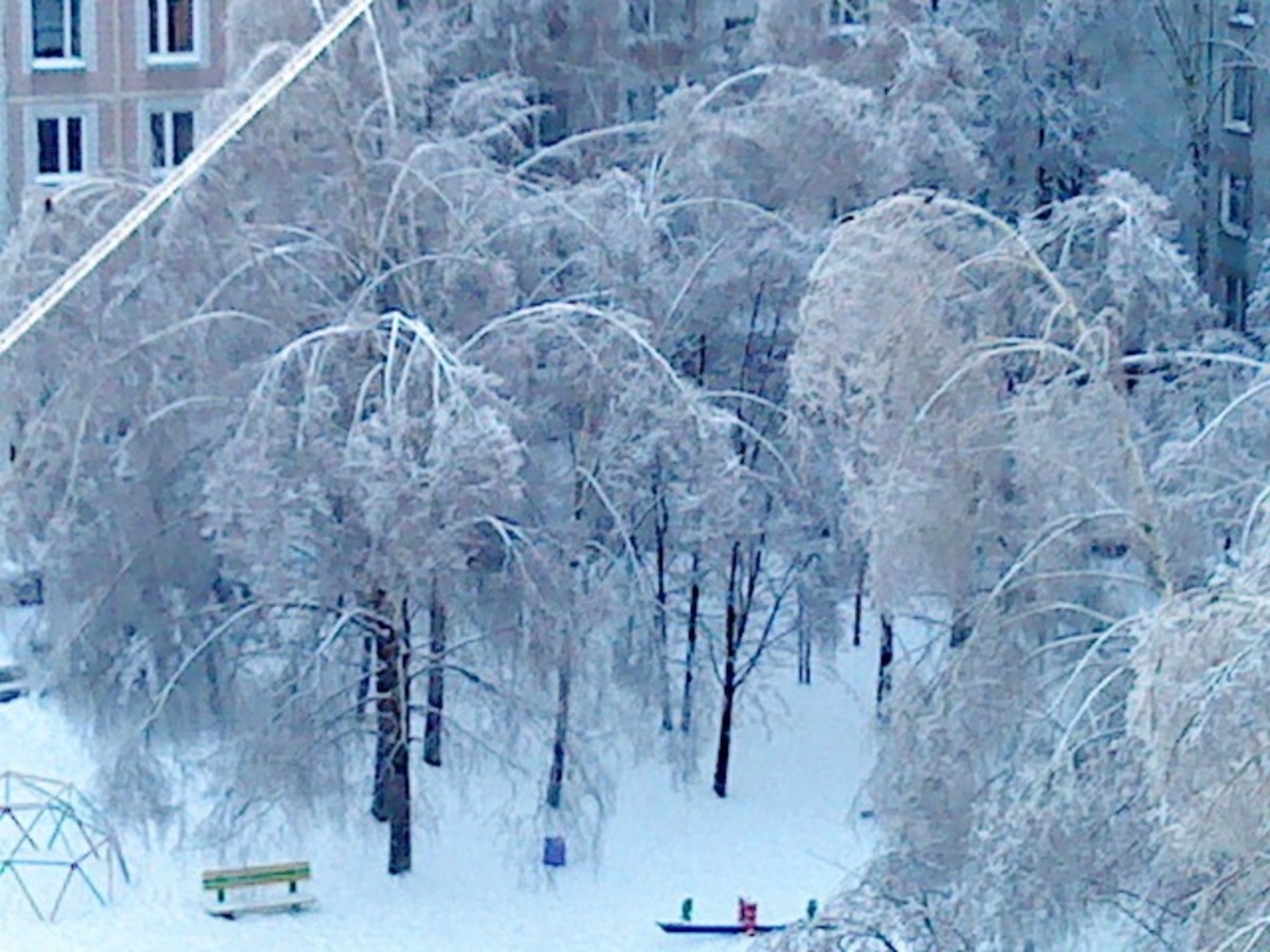деревья в пополаме..все..