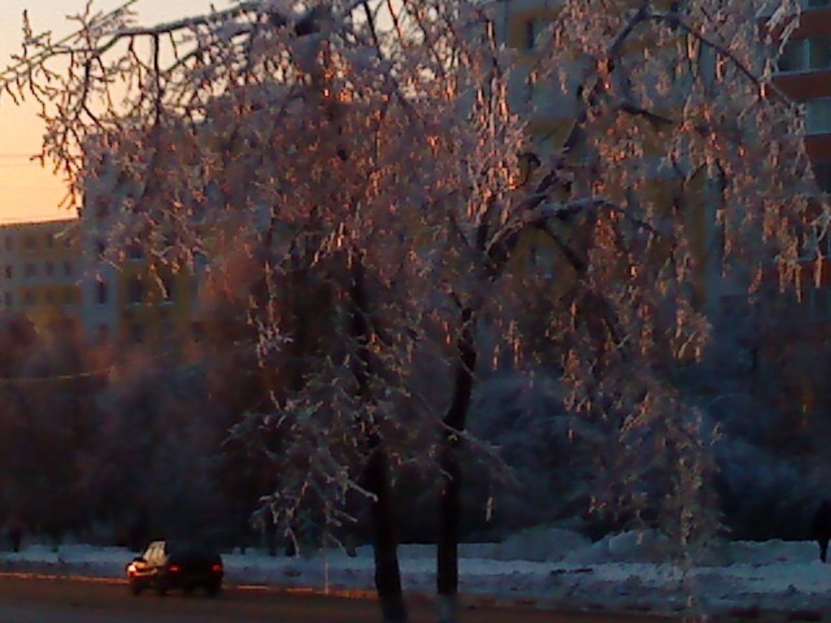 перед  рождеством 6 января 2011 ясенево
