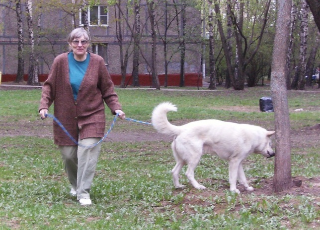 Чтения памяти Л.С. Богословской (1937–2015)