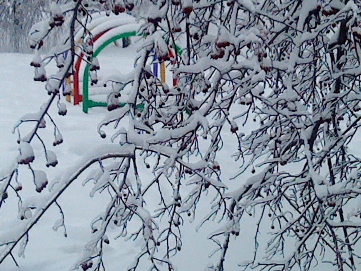 снег и лед 2 января 2011г