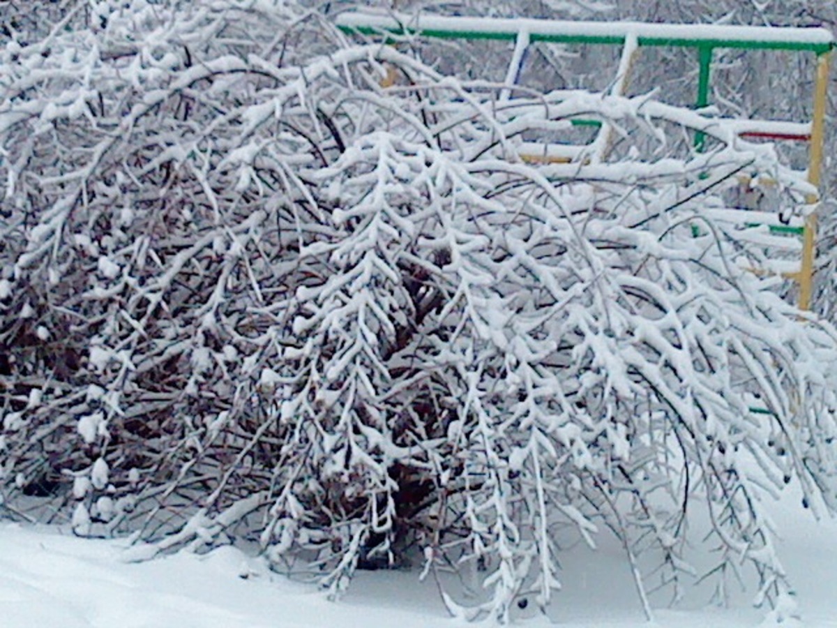 2 января 2011г