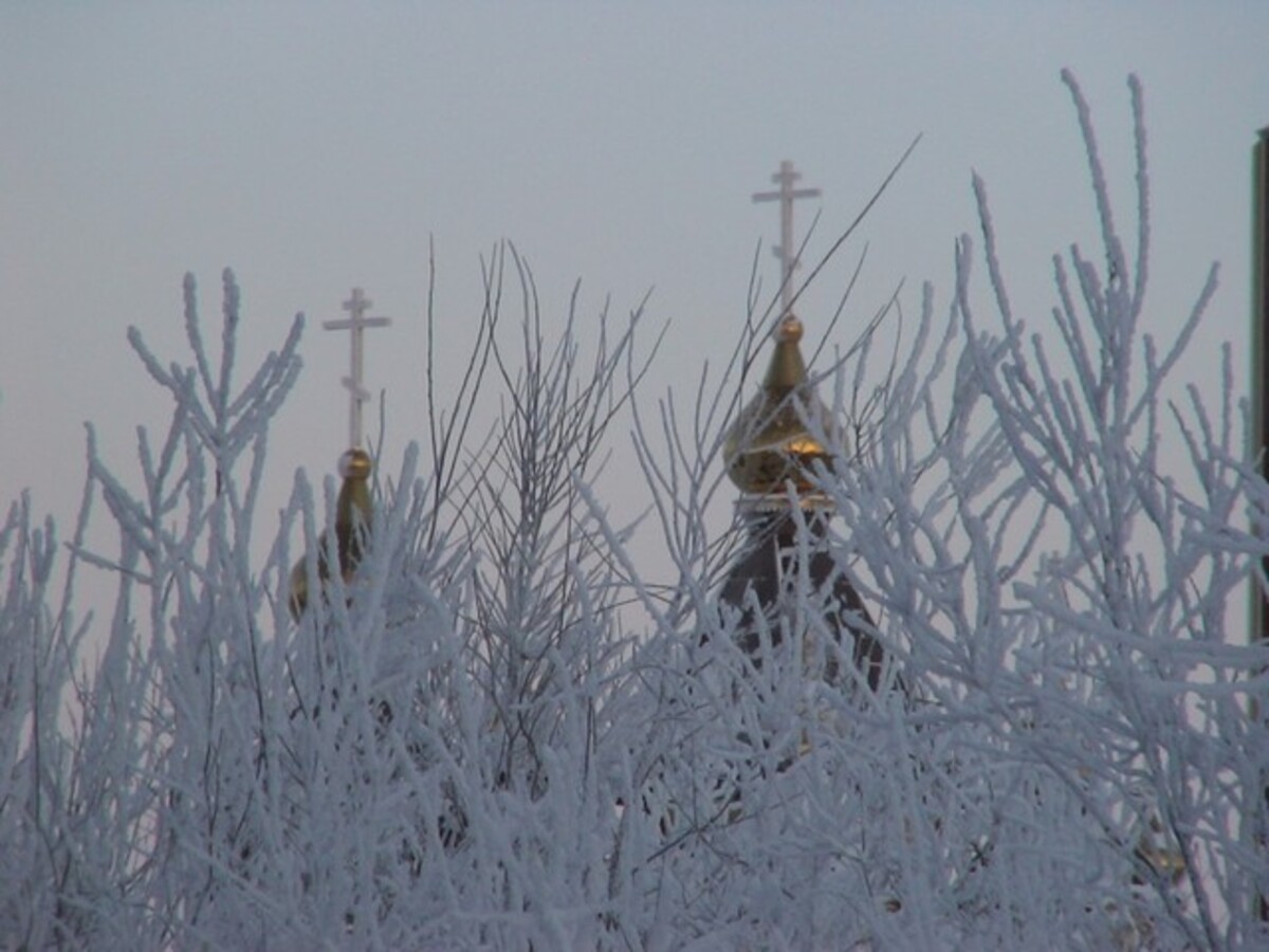 Купола