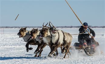 На Чукотке завершилась ежегодная ярмарка оленеводов 