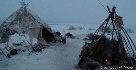 Новое мобильное жилье для оленеводов Чукотки закупят в начале года