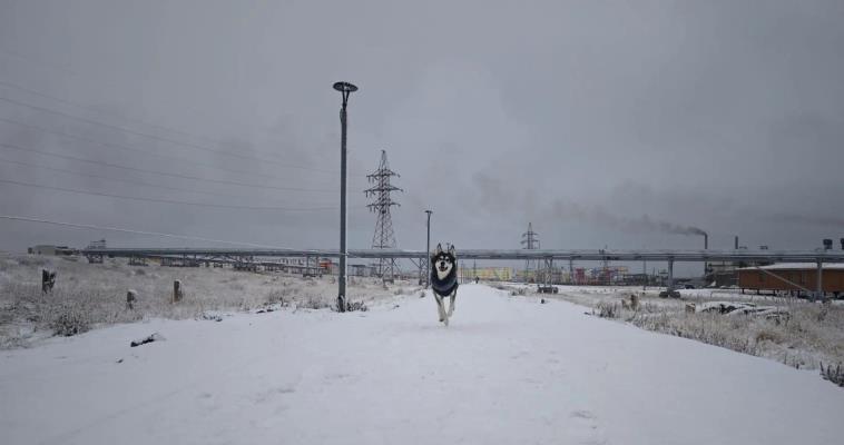 Шквалистый ветер до 23 метров в секунду ожидается в Певекском округе в воскресенье