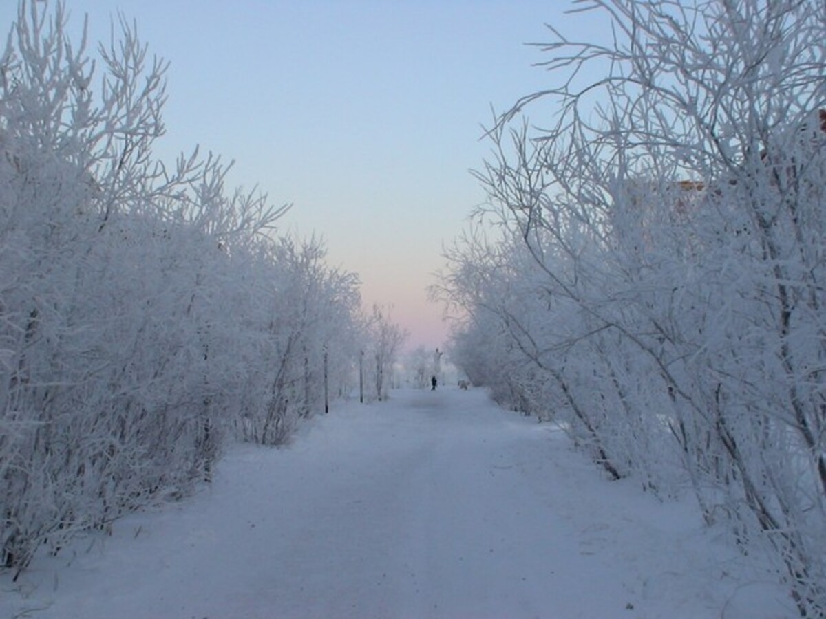 Аллея