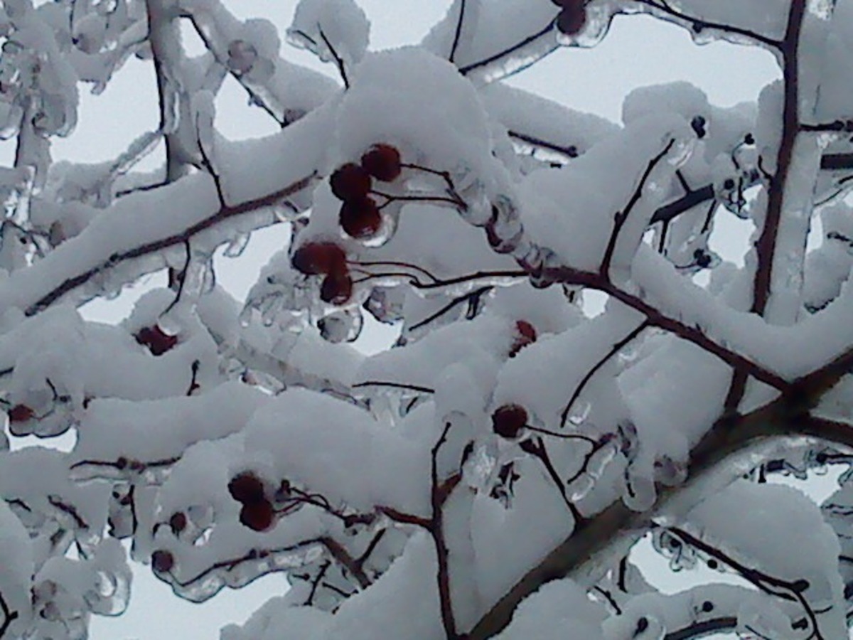 2 января 2011г